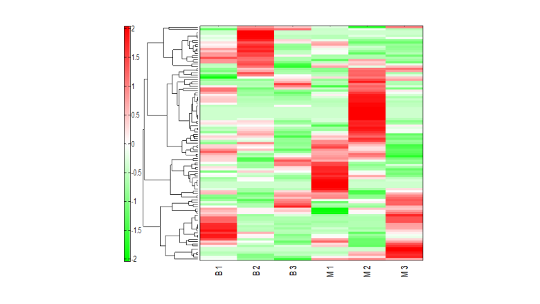 癌バイオマーカーの探索